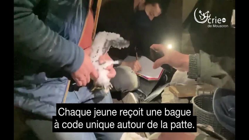 CRIE de Mouscron asbl