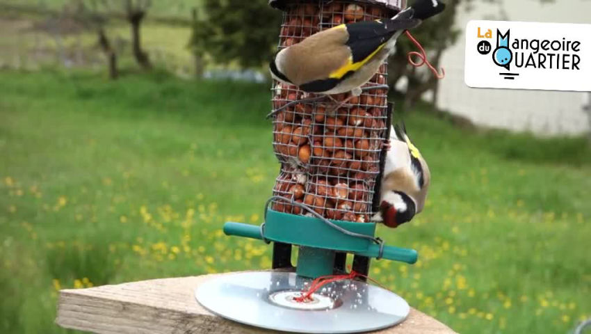 CRIE de Mouscron asbl