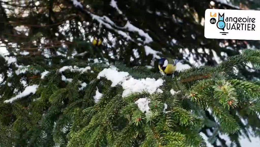 CRIE de Mouscron asbl