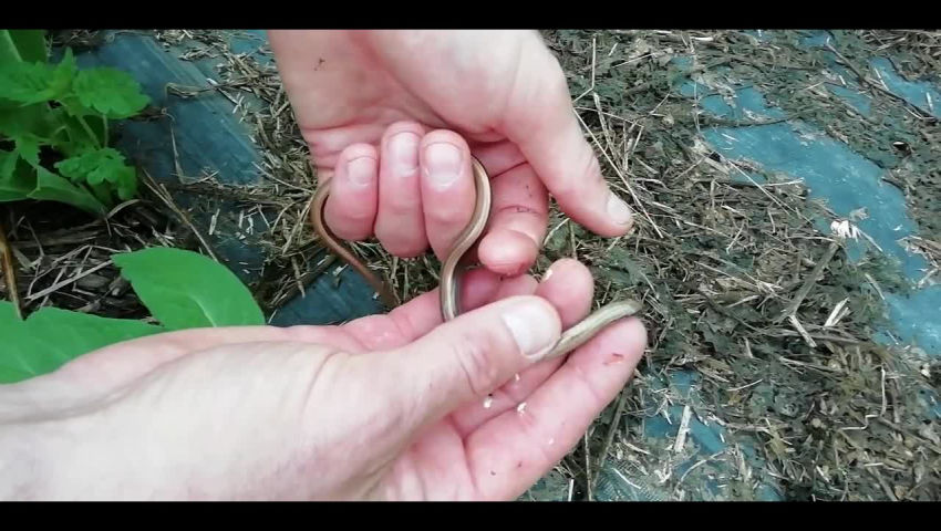 CRIE de Mouscron asbl