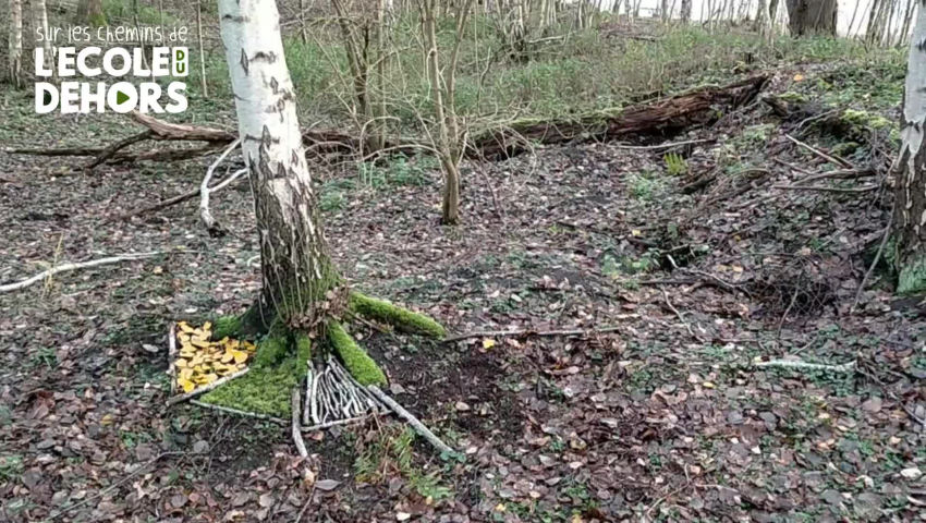 CRIE de Mouscron asbl