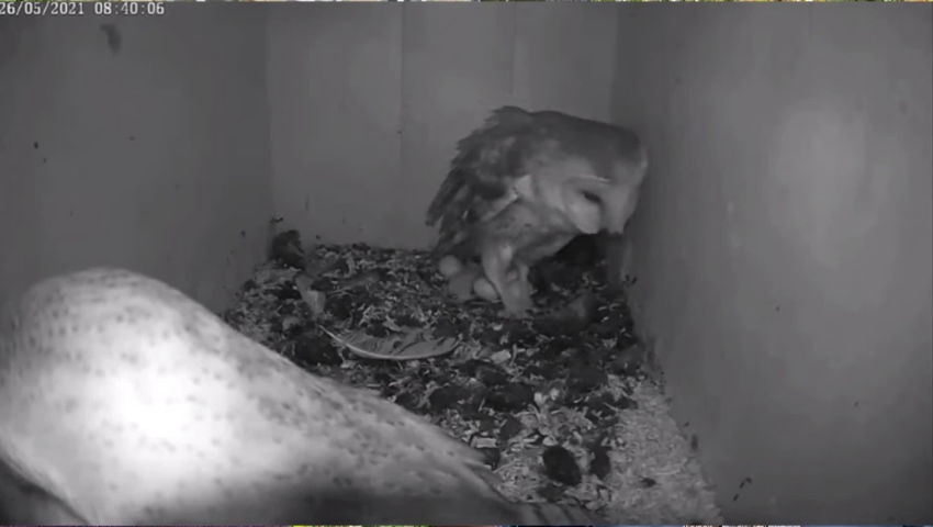 CRIE de Mouscron asbl