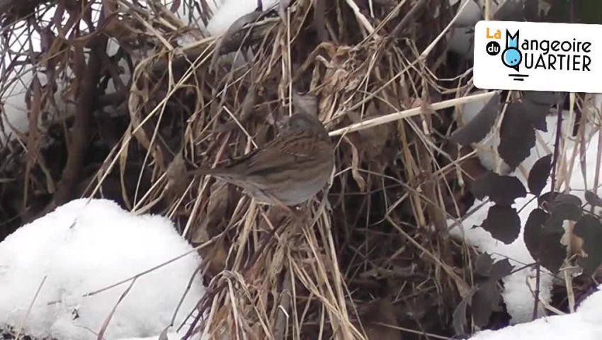 CRIE de Mouscron asbl