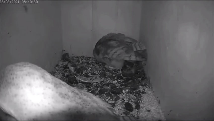 CRIE de Mouscron asbl