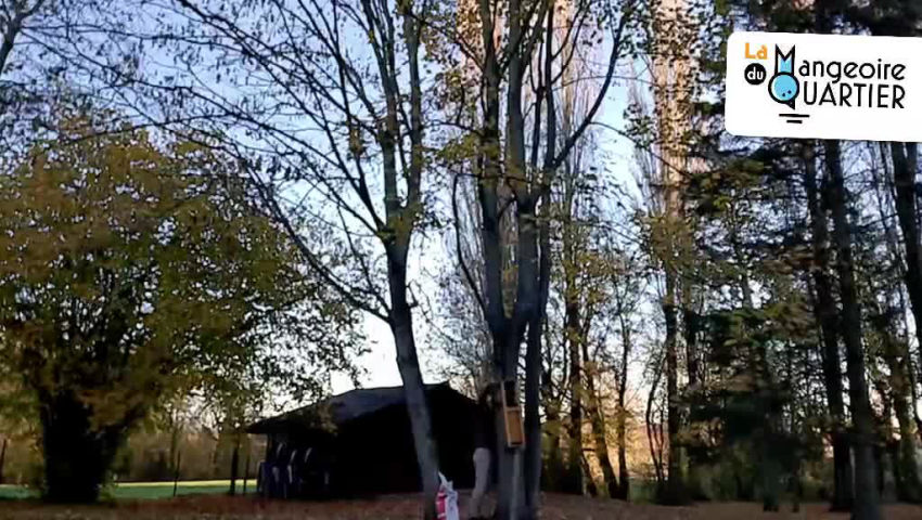 CRIE de Mouscron asbl